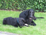 Mistral met Lexy